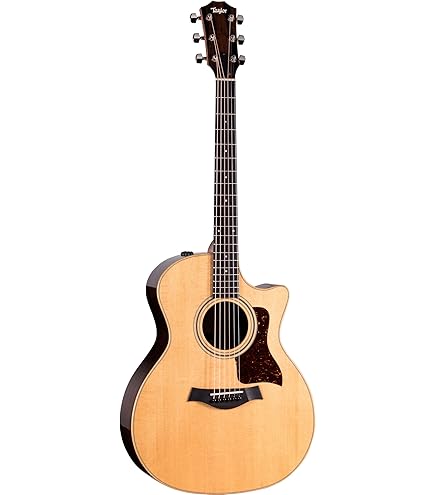 Amazon.com: Taylor 414ce-R - Rosewood Back and Sides, V-Class